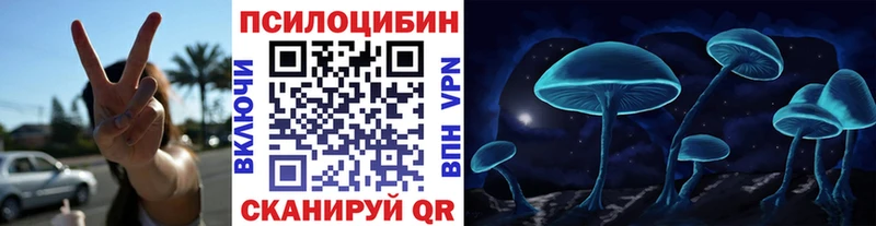 хочу   Владикавказ  Псилоцибиновые грибы Magic Shrooms 