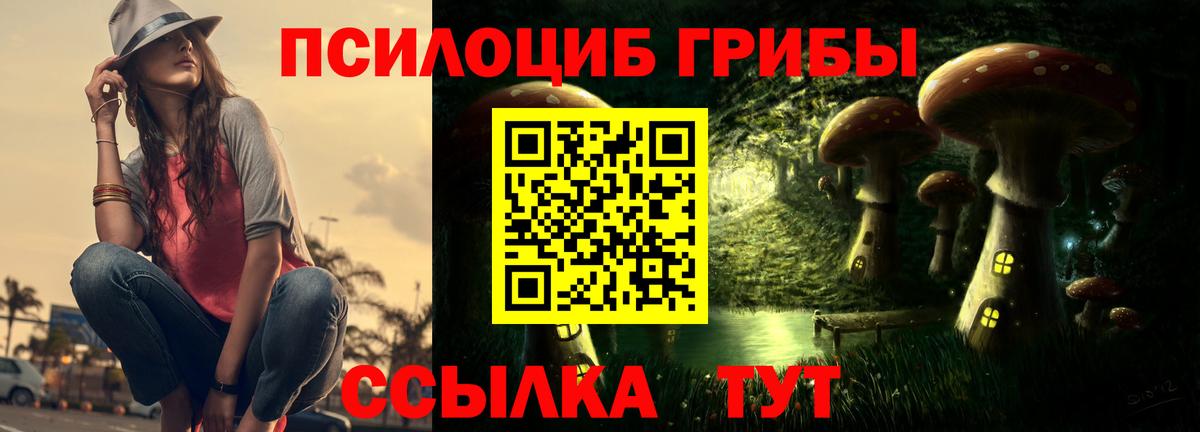 Галлюциногенные грибы GOLDEN TEACHER Владикавказ