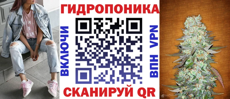 где купить   Владикавказ  Шишки марихуана сатива 